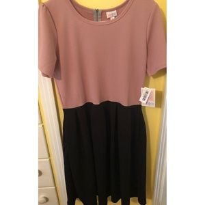 XL LuLaRoe Amelia NWT